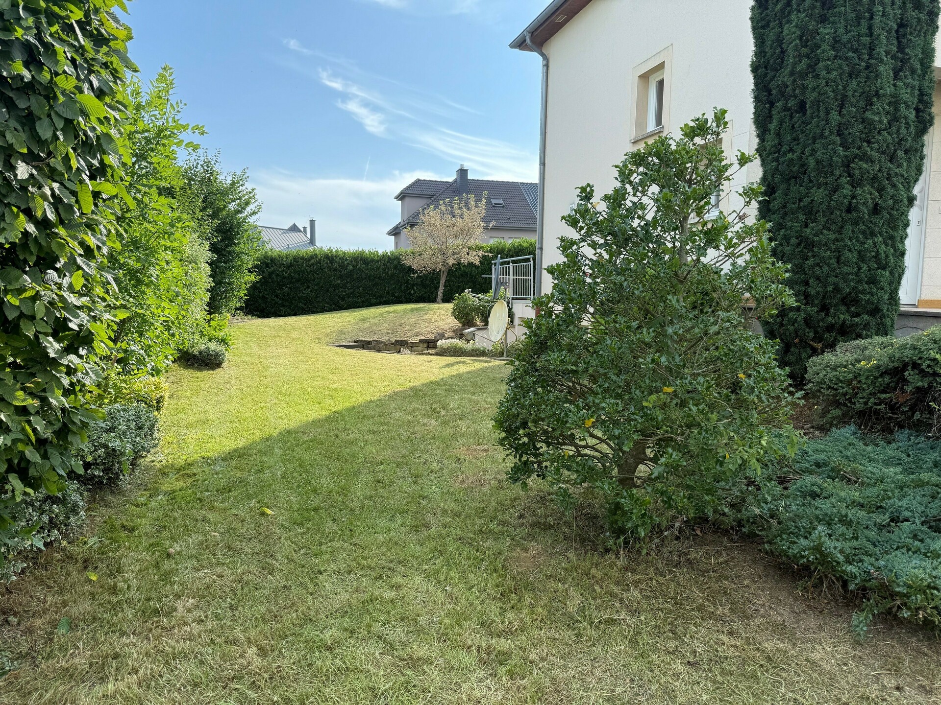 Image 25
